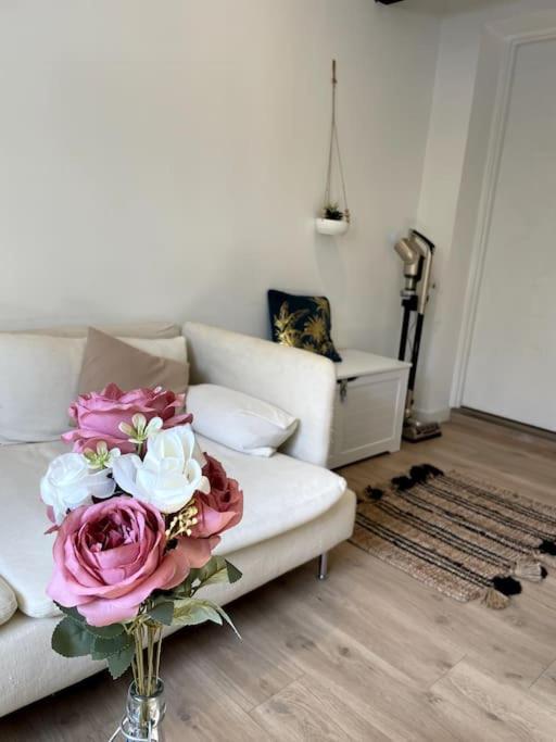Villa Gaby~ 2 Pers ~ Hypercentre Pau Εξωτερικό φωτογραφία